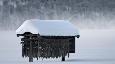 Winterstimmung_Haus_Alpenrose