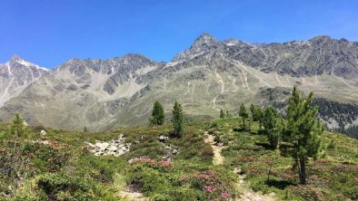 Haselsteiner, © TVB Osttirol