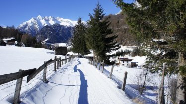 Spaziergang ums Haus