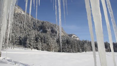 Berghof Haselsberger in St. Johann in Tirol