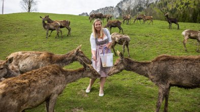 Urlaub am Bauernhof St. Johann in Tirol