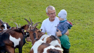 Tiere am Bauernhof4