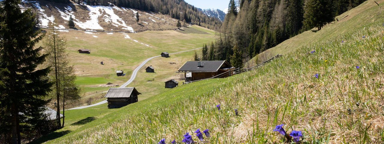 Frühling in der Pfundser Tschey, © Tirol Werbung/Marion Webhofer