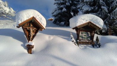 Wildgehege Foisching Niederau (15)