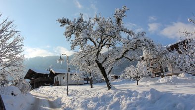 Winter, © Petra Schwarzenauer