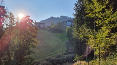 Berghof, © Appartement Kaiserseite