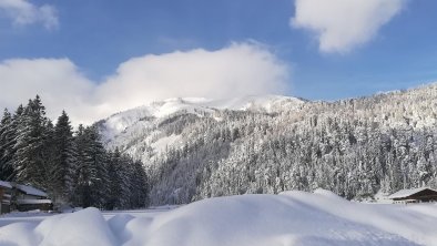 Ferienwohnung Hinterwinkl - Winter 1