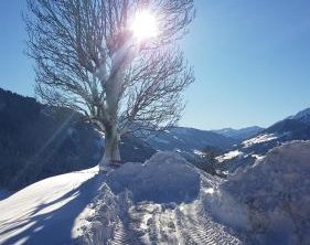 Gasthof Schöntal, © bookingcom