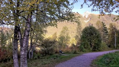 Rundwanderweg Wildsee Herbst, © Josef Glas