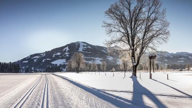 Langlaufen in Westendorf, © Krings Maren