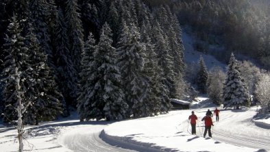 Langlaufen in Klausäuele