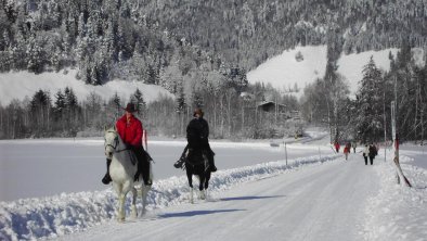 Winterwandern oder Reiten