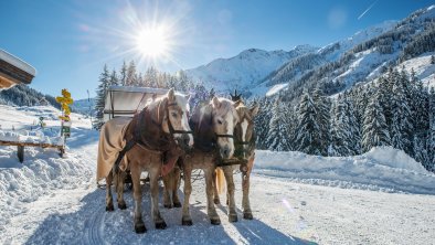 Auffach  Schönangeralm mit Pferdekutsche 1 Winter