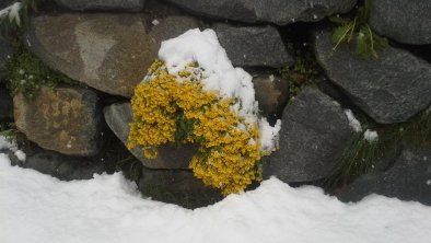 Schnee im Juli