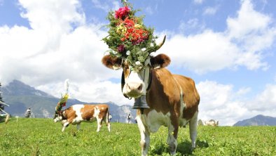 Almabtrieb Reith im Alpbachtal Tirol (75)