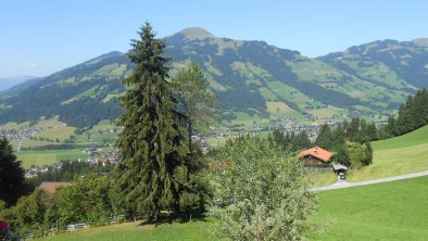 Sommerfoto Appartement Berfried