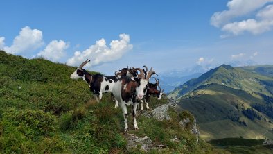 Gebiet um kleinen Rettenstein