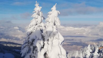 Moaeben Alpbach.  - 20 Grad am Wiedersbergerhorn, © Margit Klingler