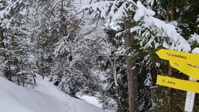 Schneeschuhwanderung Bergblick-Vadiesen