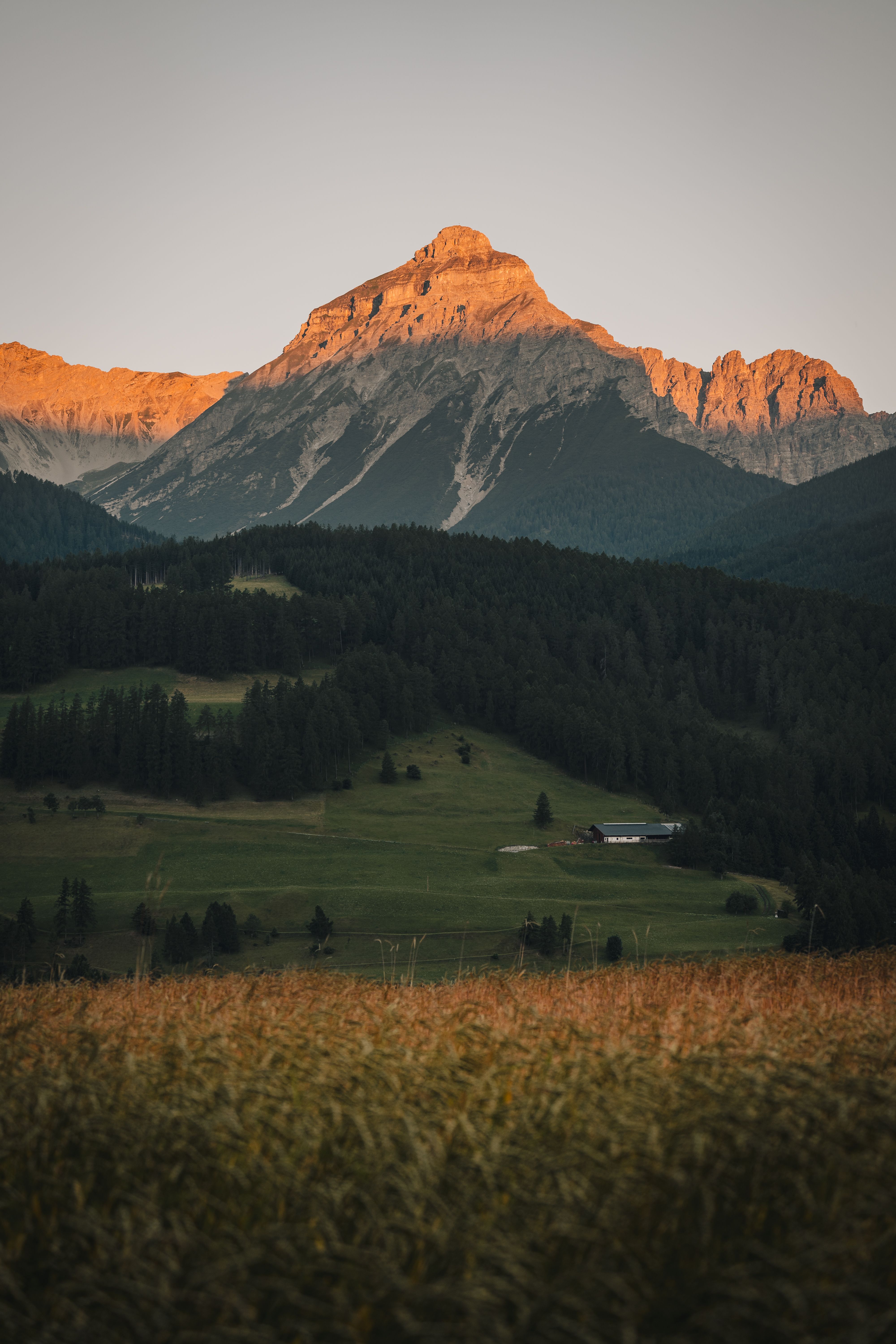 leuchtender, pyramidenförmiger Gipfel der Serles im Hintergrund, sommerliche Bergwiese im Vordergrund