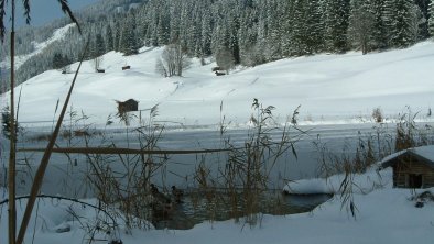 Seesumpfer See in der Nachbarschaft