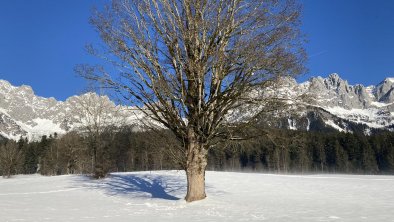 Winterwandern in Going am Wilden Kaiser