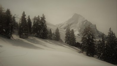 Fürstalm mit Wechselspitze, © Günther Hauser