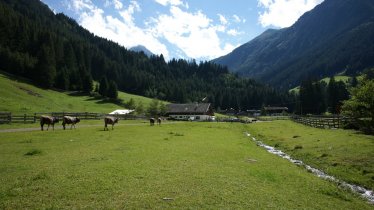 https://images.seekda.net/AT_UAB7-03-10-04/Doadleralm.jpg