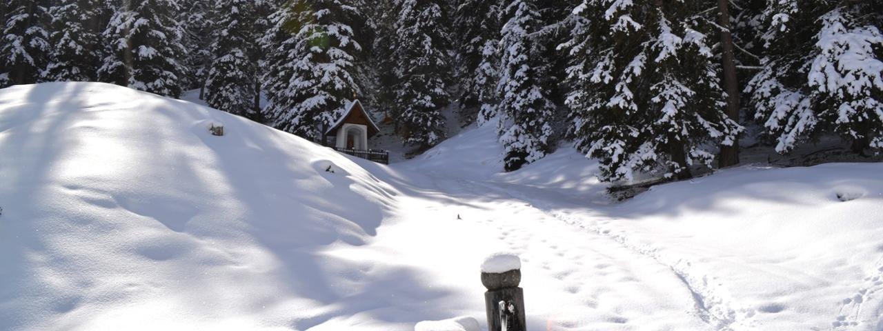 Winterwanderung in Schmirn, © TVB Wipptal