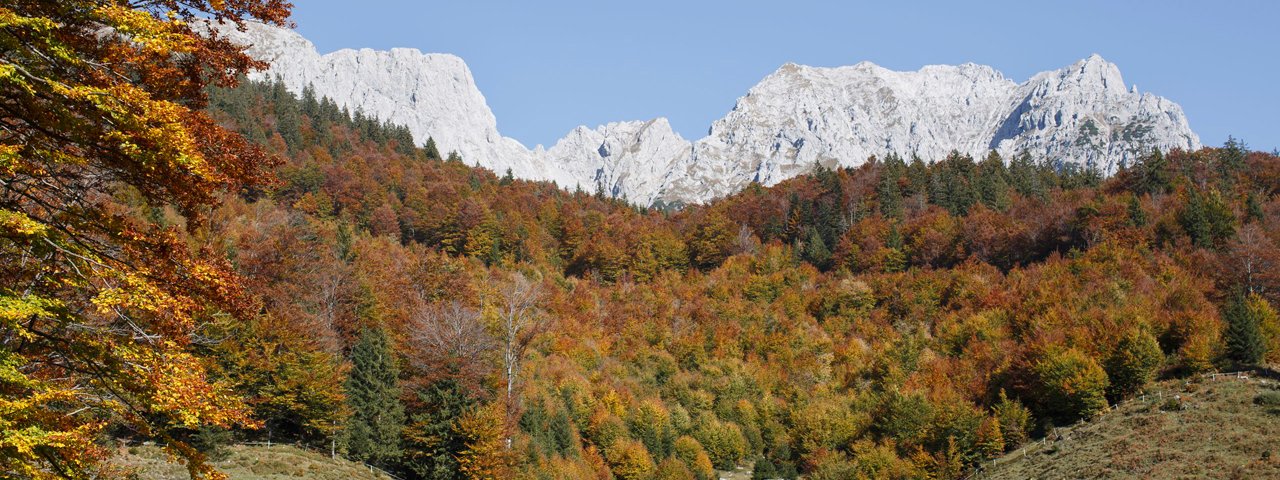 Herbst am Wilden Kaiser