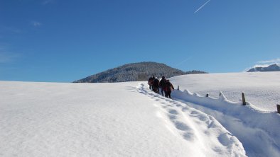 Winterwanderung in tief veschneiter Landschaft  Re