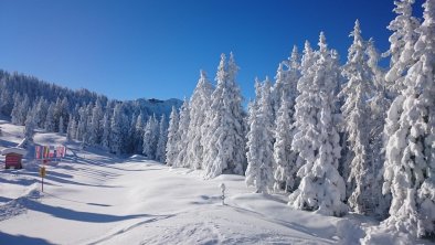 Skijuwel Wildschönau Bergstation Schatzbergbahn