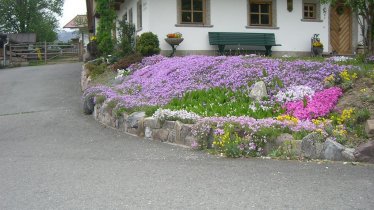 Blumen vor dem Haus