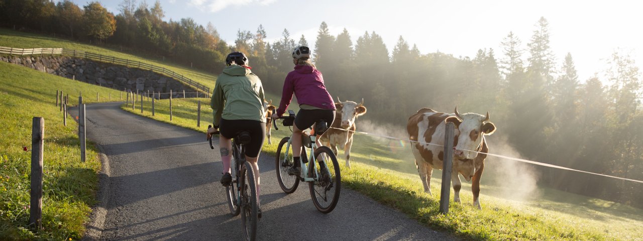 Kaiserwinkl, © Tirol Werbung / Oliver Soulas