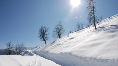 Wanderung zum Feilkopf