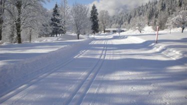 Landschaft Winter