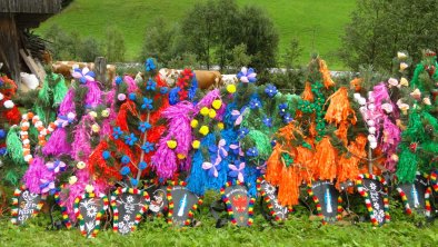 Almabtrieb Wildschönau Schmuck für Kühe Rechte Wil