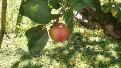 Gesund am Bauernhof