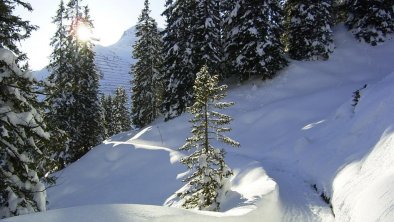 Winterspaziergang, © Sigrid Moosbrugger