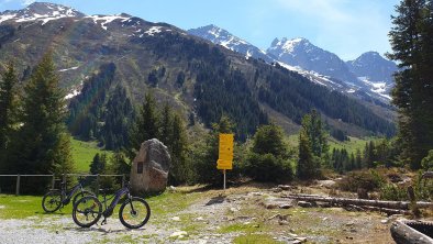 summer bikes