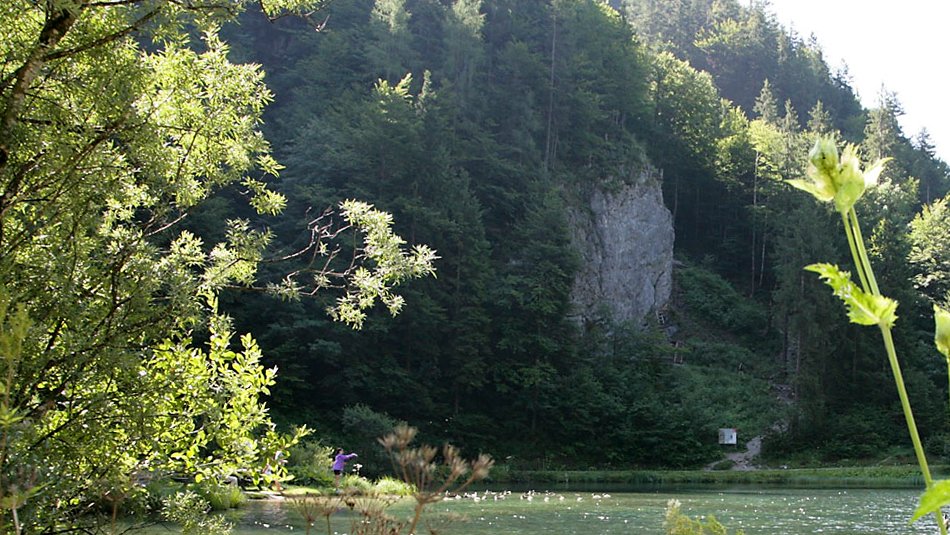 Klettergarten Wiesensee im Pillerseetal, © Alpenverein Hochfilzen