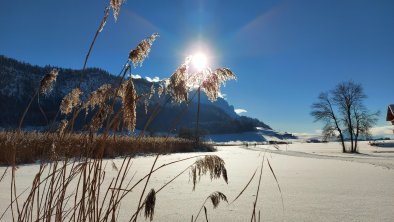 Langlaufen nähe Ferienwohnung Sonja am Kaiser