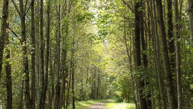 am_zillerweg