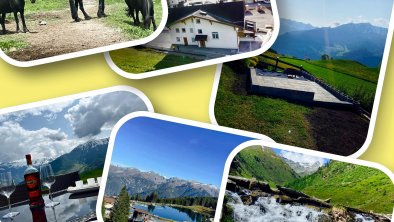 Toller Sommer im Alpenglück