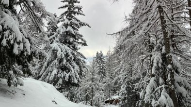 Anfahrtstraße im Winter