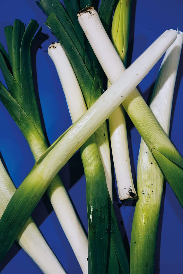 Der Ackerlauch geh&ouml;rt wie auch der Knoblauch oder der Schnittlauch zu den Liliengew&auml;chsen. Anders als letztere ist er aber kein W&uuml;rz-, sondern auch ein Speisegem&uuml;se. Auch, wenn er als Teil des Suppengr&uuml;ns gelegentlich gar nicht auf dem Teller landet.