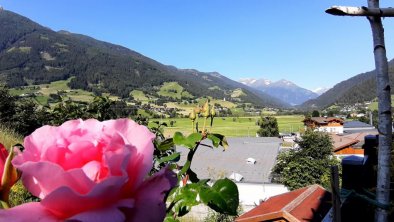 Balkon_Aussicht