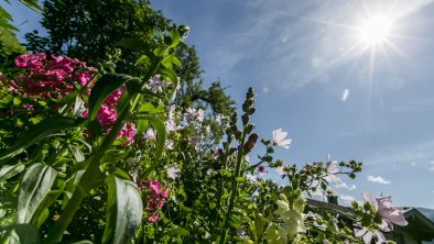 https://images.seekda.net/AT_UAB7-04-06-10/_20190809_UAB_9_siedlerhof_Hopfgarten_0033.jpg