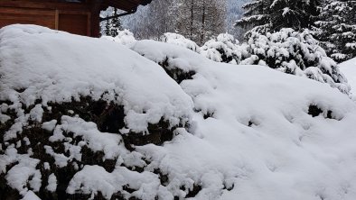 Blick aufs Kitzbüheler Horn vom Garten aus