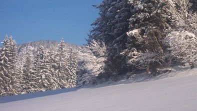 Winterlandschaft